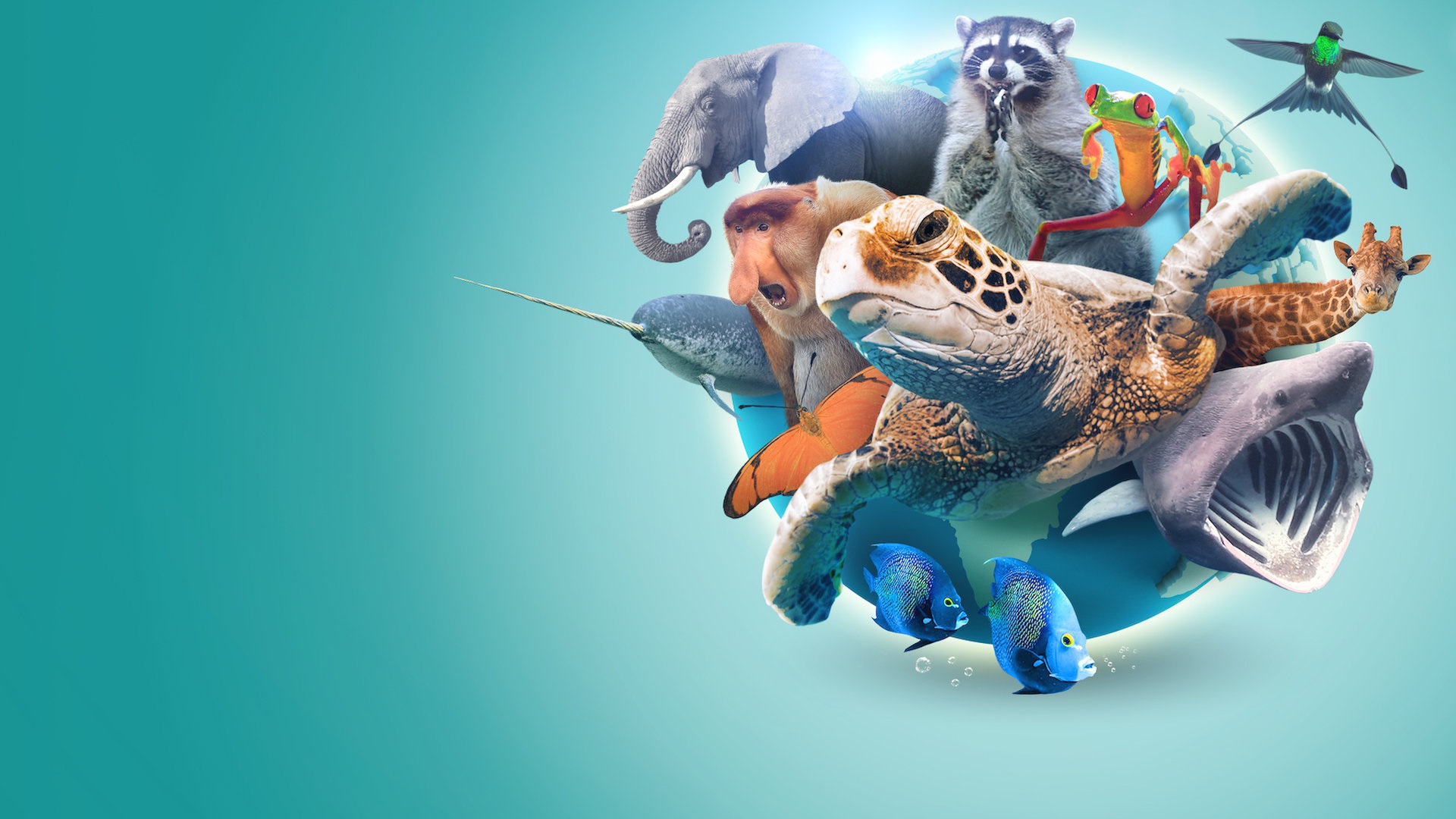 Absurd Planet 1. Sezon 3. Bölüm