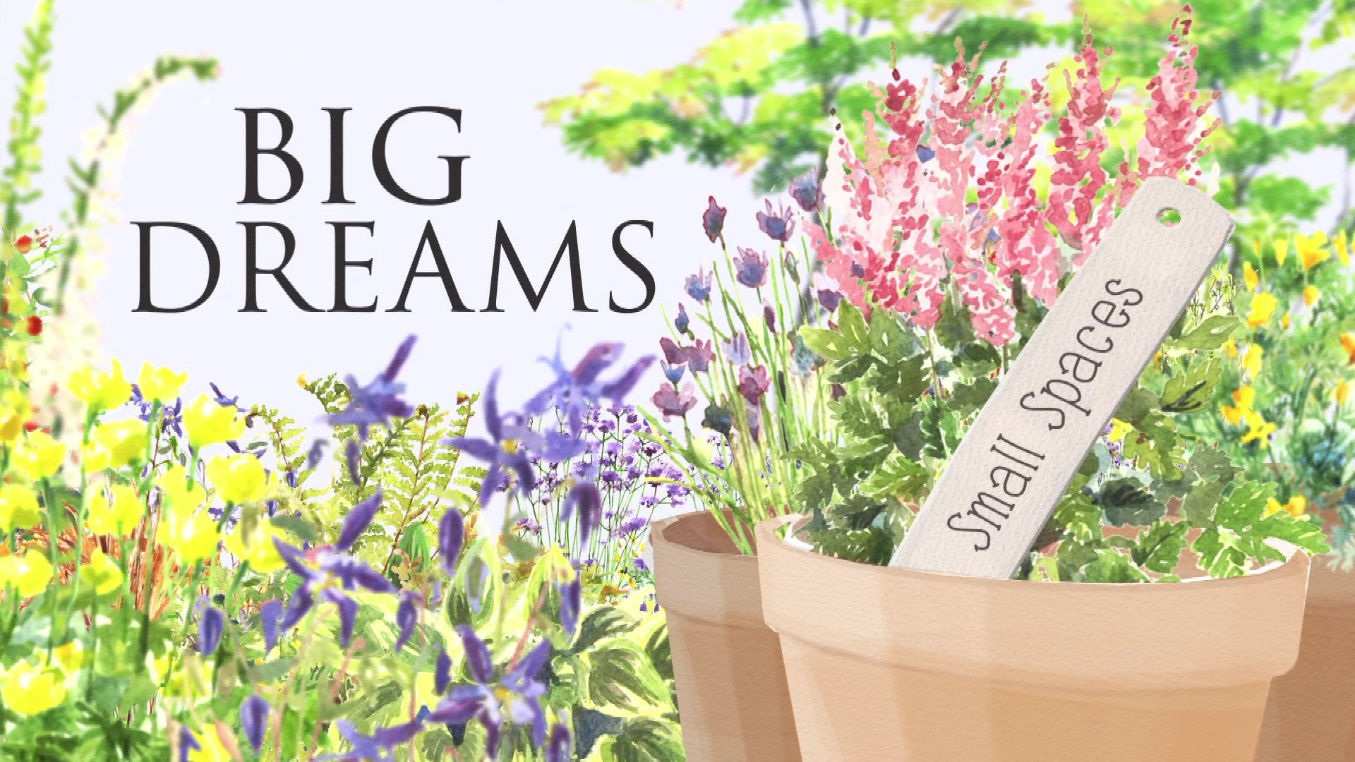 BIG DREAMS Small Spaces 3. Sezon 5. Bölüm
