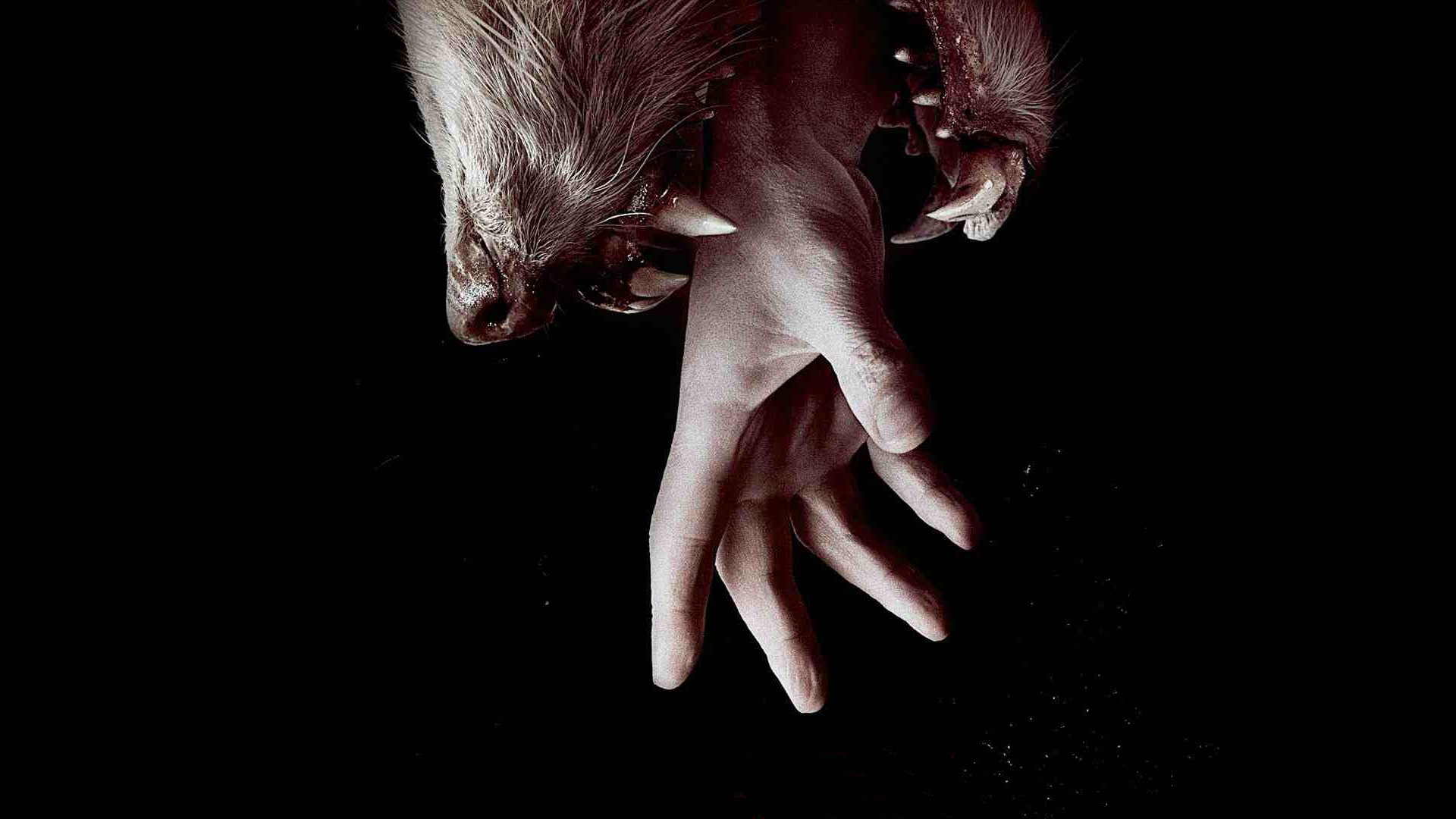Hemlock Grove 1. Sezon 8. Bölüm