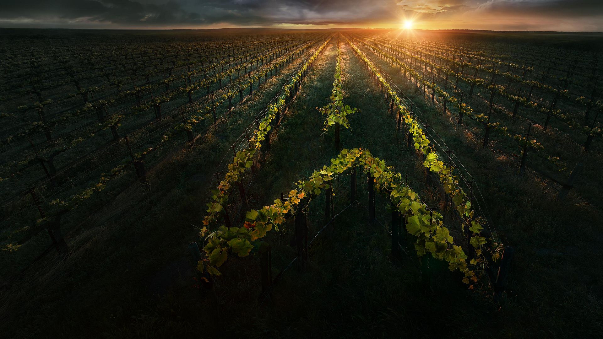 Star Trek: Picard 1. Sezon 9. Bölüm