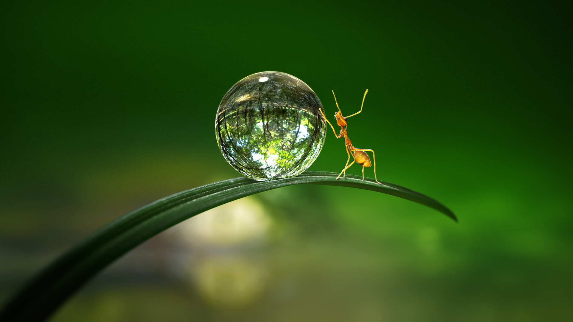 Tiny World 2. Sezon 2. Bölüm