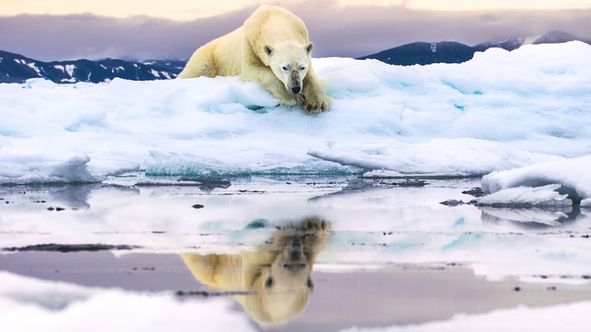 Frozen Planet II 1. Sezon 1. Bölüm