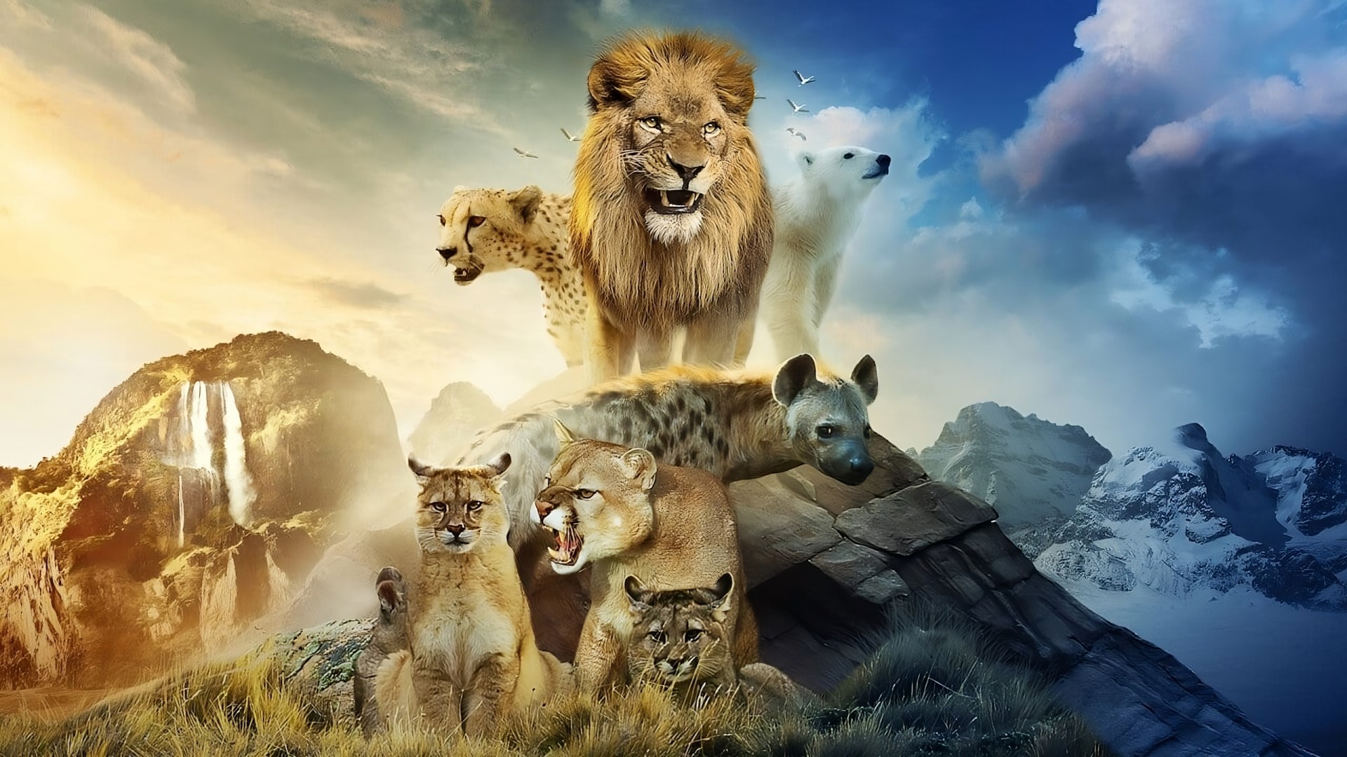Predators 1. Sezon 4. Bölüm