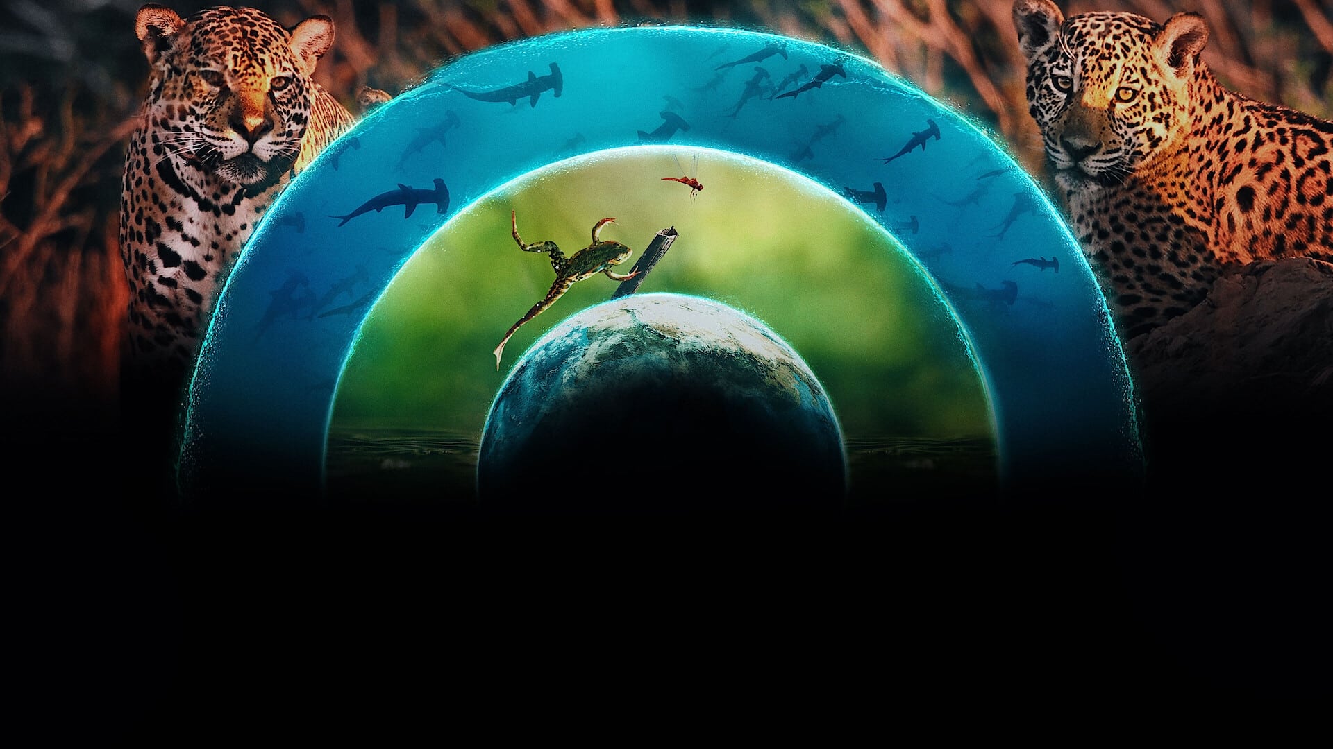 Our Living World 1. Sezon 3. Bölüm